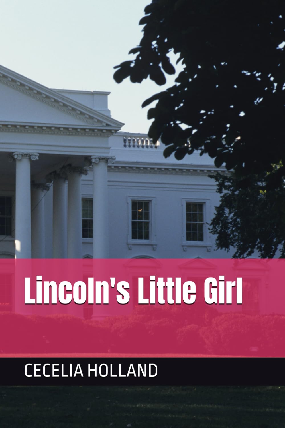 Lincoln's Little Girl