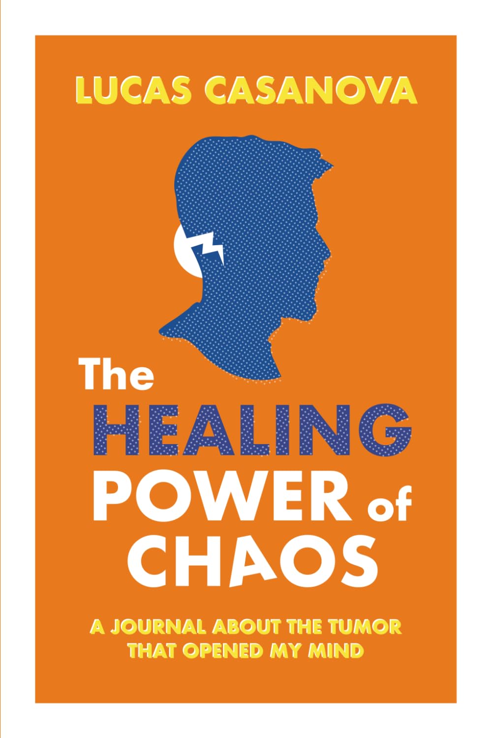 The Healing Power of Chaos: A journal about the tumor that opened my mind