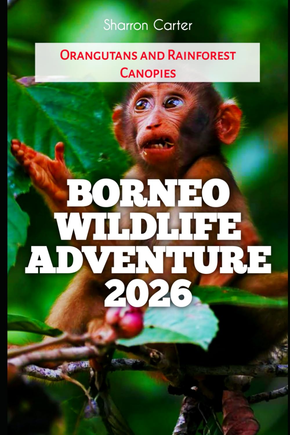 Borneo Wildlife Adventure 2026: Orangutans and Rainforest Canopies (2026 Travel, Vacation and Tour Guides)