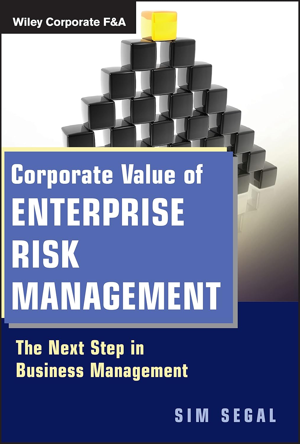 Corporate Value of Enterprise Risk Management: The Next Step in Business Management (Wiley Corporate F&A)
