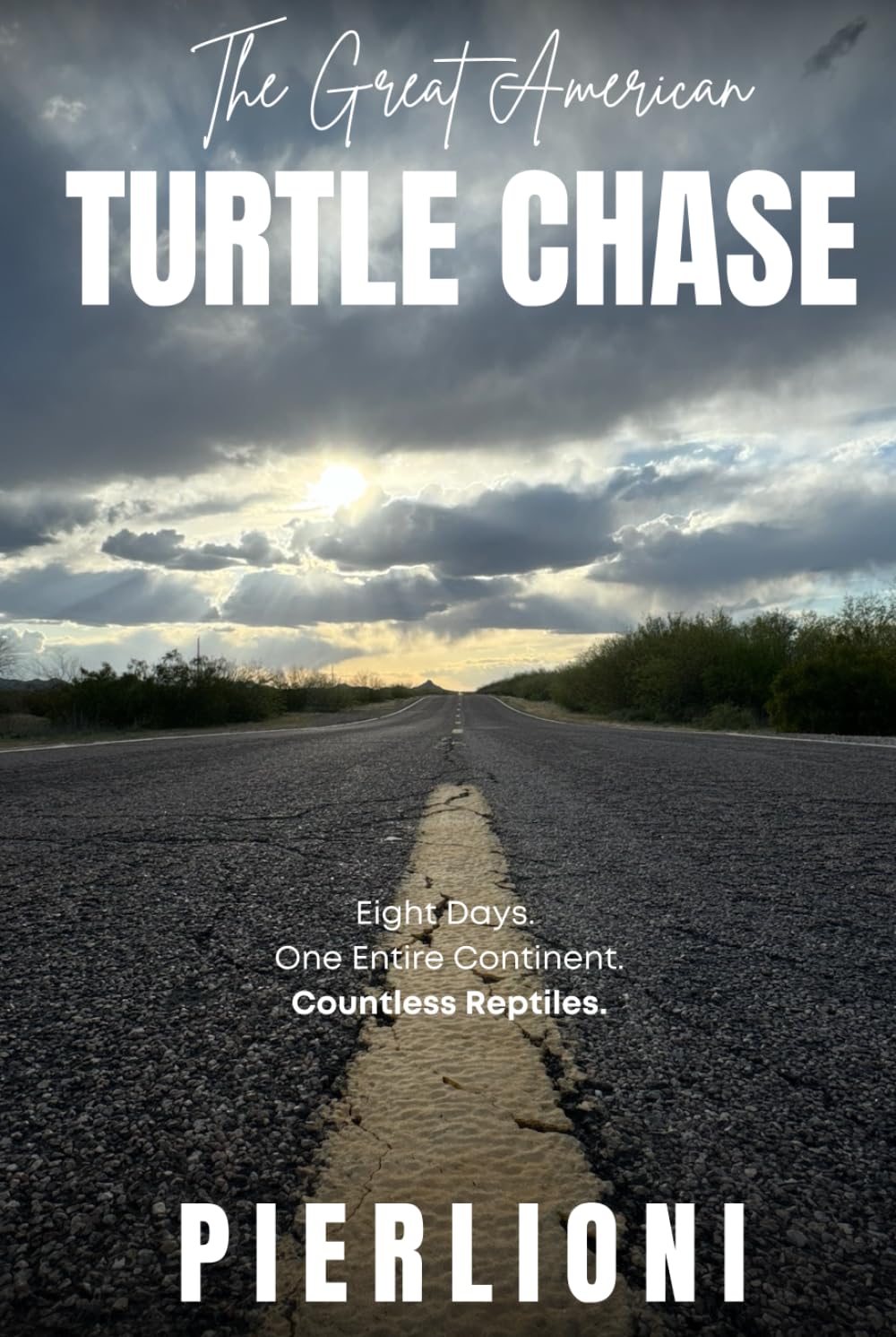 The Great American Turtle Chase: Eight Days. One Entire Continent. Countless Reptiles.
