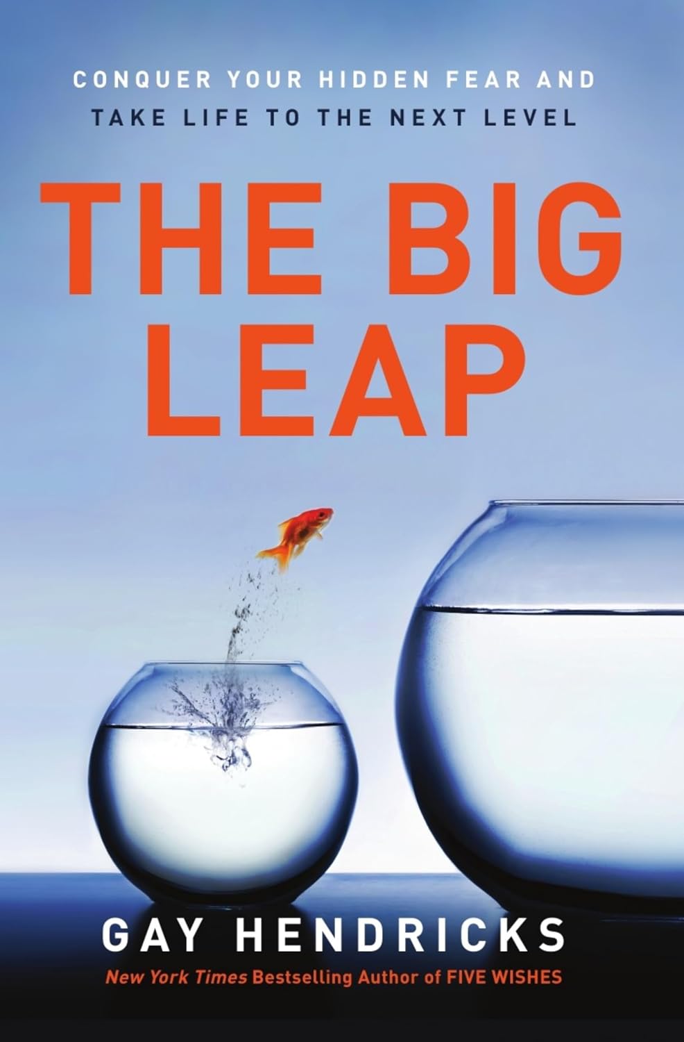 The Big Leap: Conquer Your Hidden Fear and Take Life to the Next Level―A Transformative Guide to Overcoming Fears and False Beliefs for Personal Growth and Success