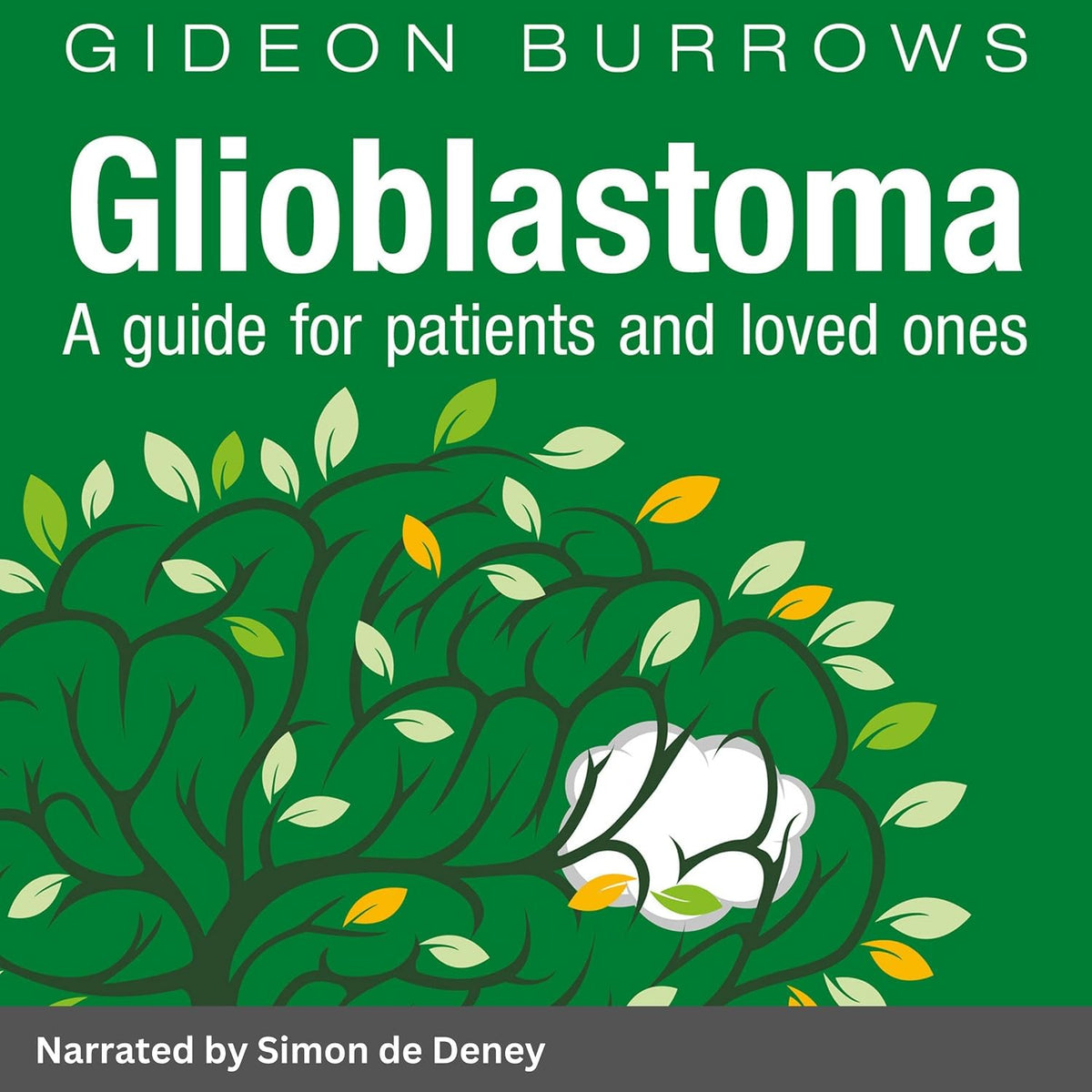 Glioblastoma: Facing Brain Cancer, Book 2