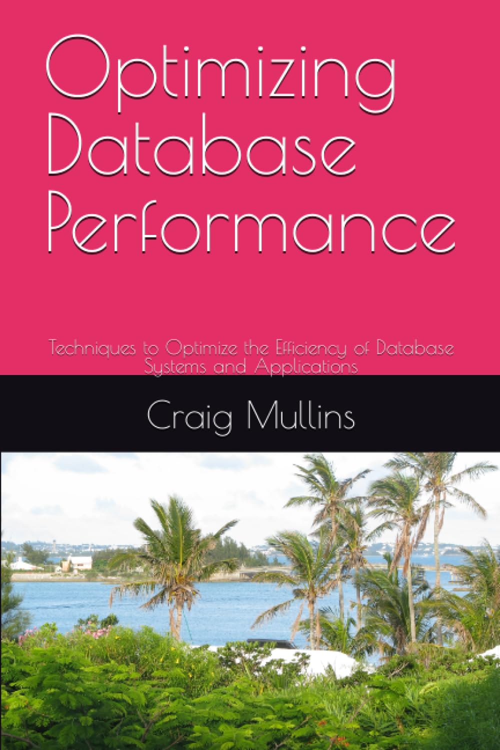 Optimizing Database Performance: Techniques to Optimize the Efficiency of Database Systems and Applications