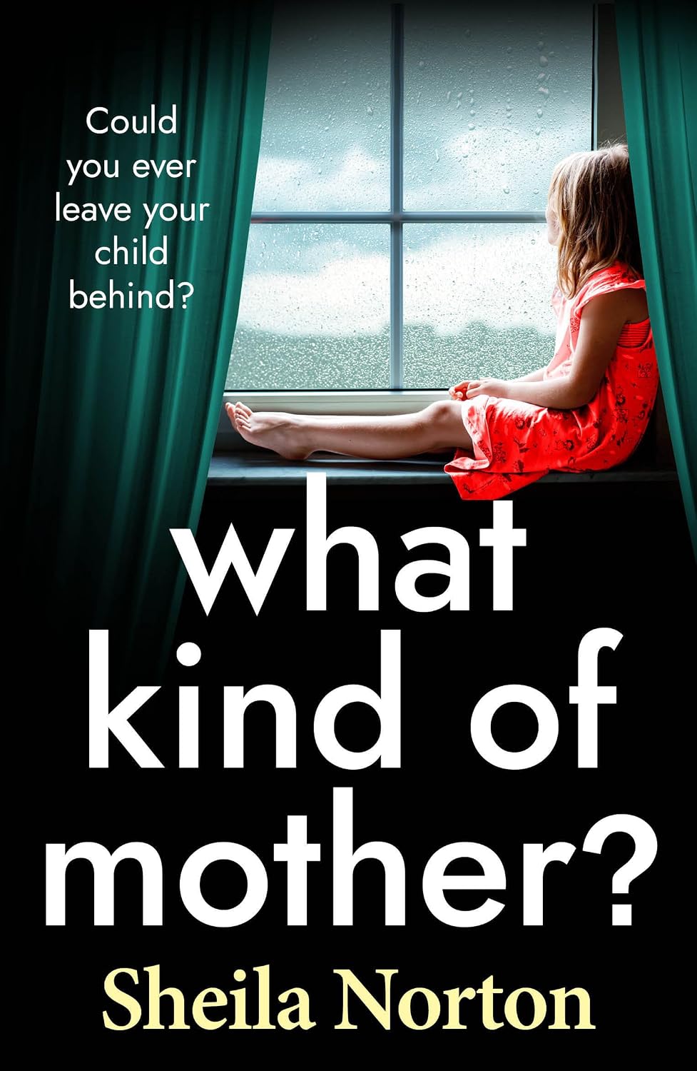 What Kind of Mother?: The BRAND NEW heartbreaking family drama from Sheila Norton for 2026