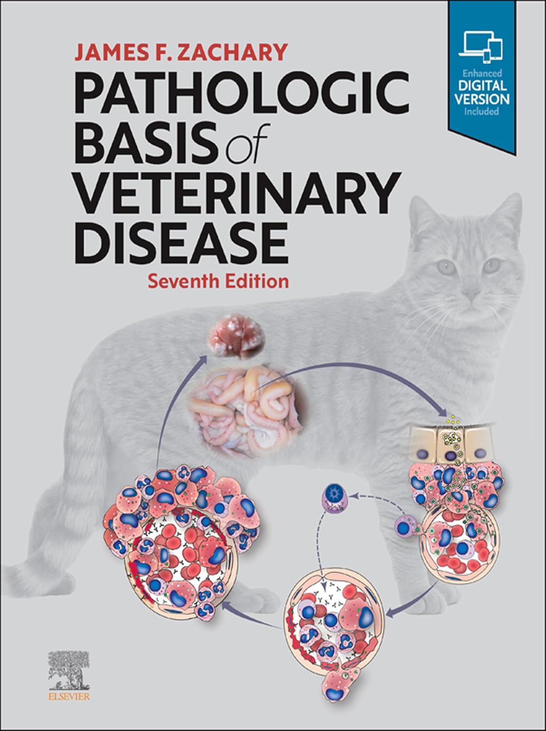 Pathologic Basis of Veterinary Disease E-BOOK