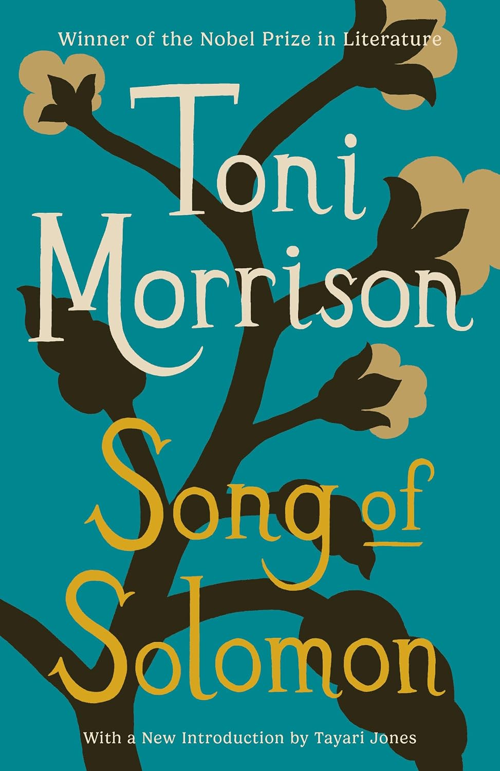 Song of Solomon: A Novel (Vintage International)