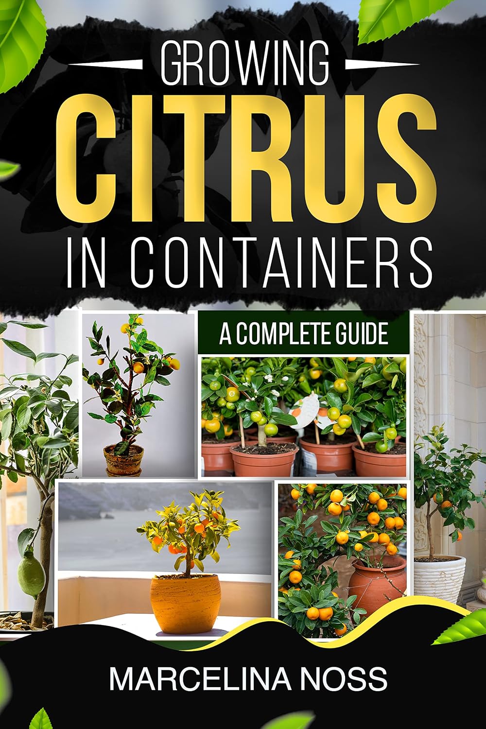 GROWING CITRUS IN A CONTAINER: A COMPLETE GUIDE