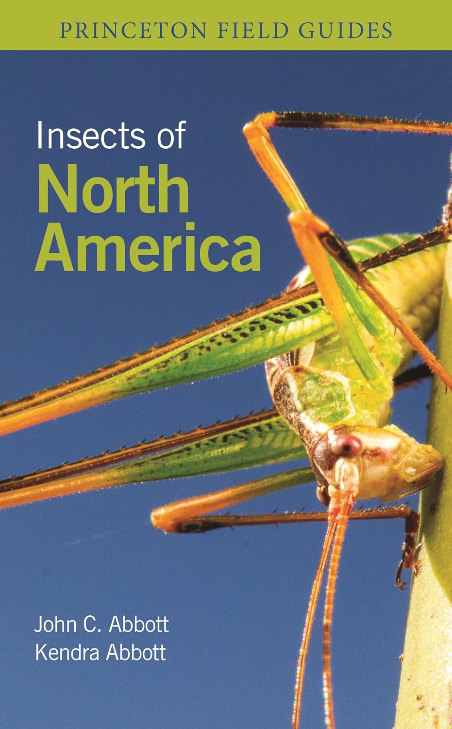 Insects of North America (Princeton Field Guides)