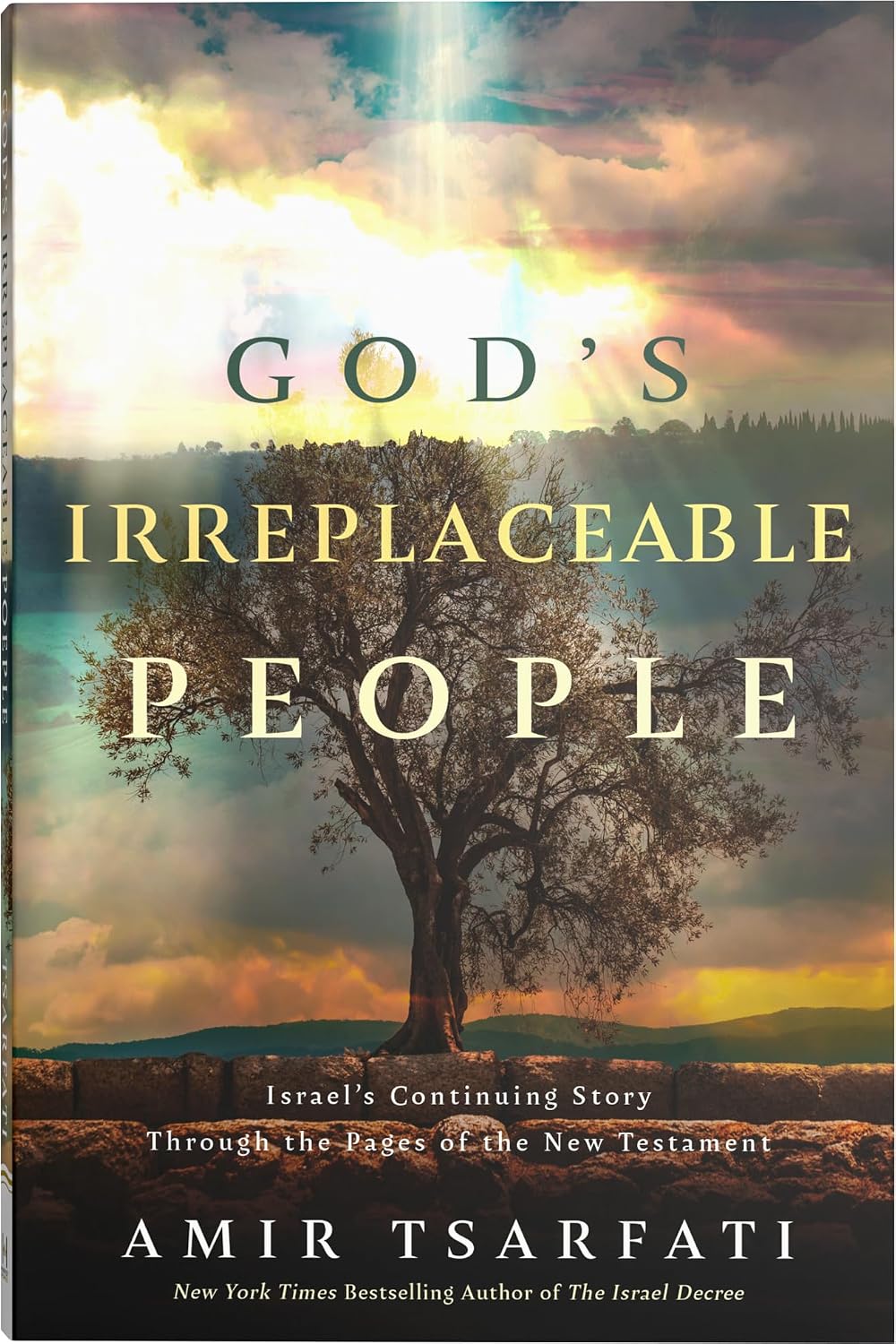 God's Irreplaceable People: A New Testament Study of God’s Promises to the Jewish Nation