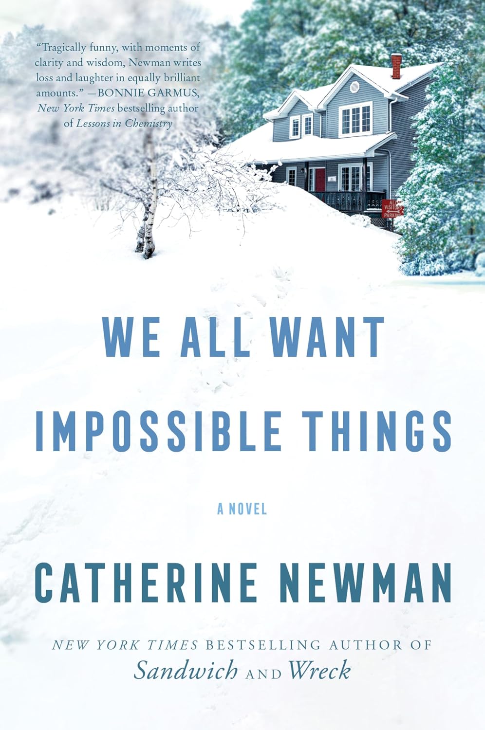 We All Want Impossible Things: A Novel from the New York Times Bestselling Author of Sandwich