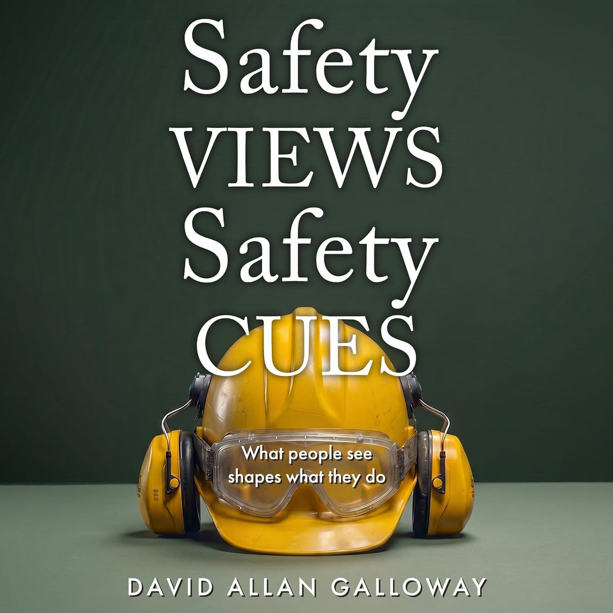 Safety Views Safety Cues: What People See Shapes What They Do (The Safety Influence Series, Book 2)