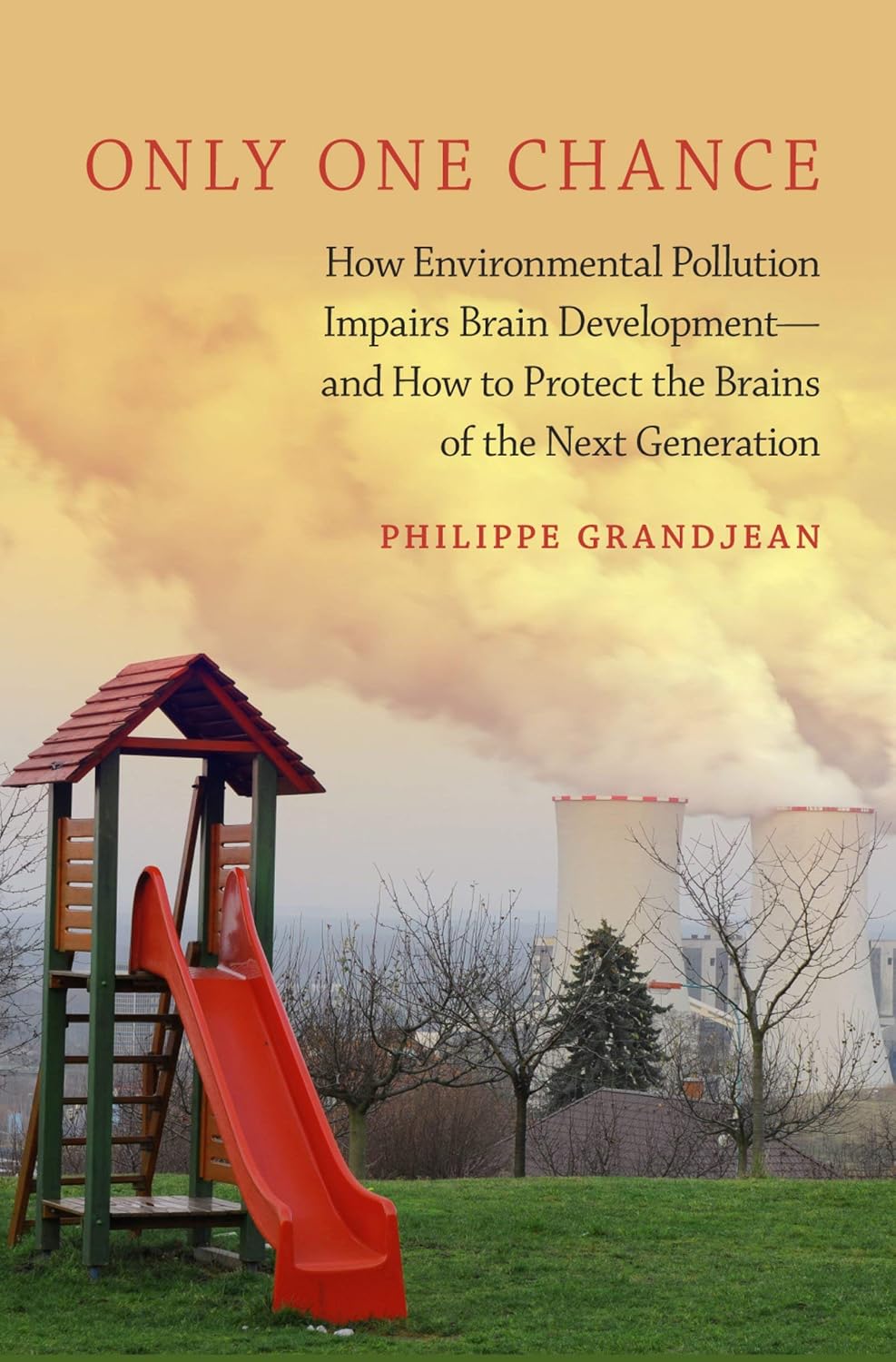 Only One Chance: How Environmental Pollution Impairs Brain Development -- and How to Protect the Brains of the Next Generation (Environmental Ethics and Science Policy Series)