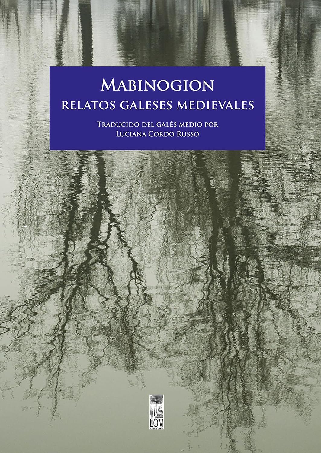 Mabinogion. Relatos galeses medievales (Spanish Edition)