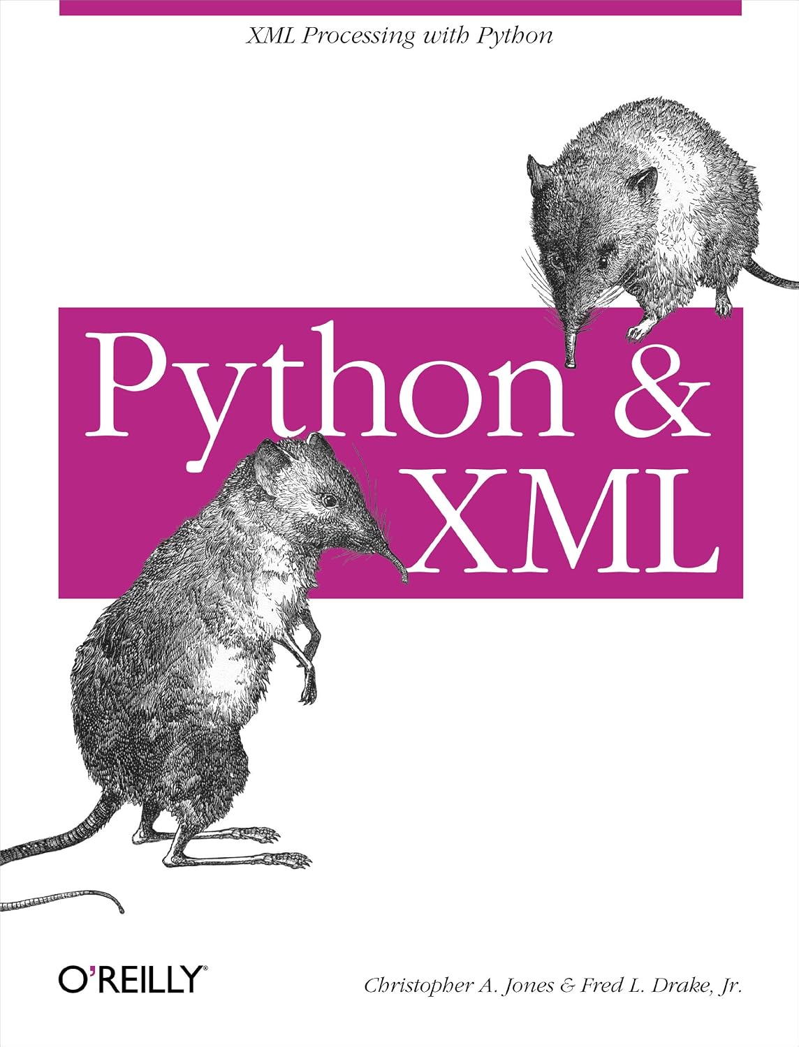 Python & XML