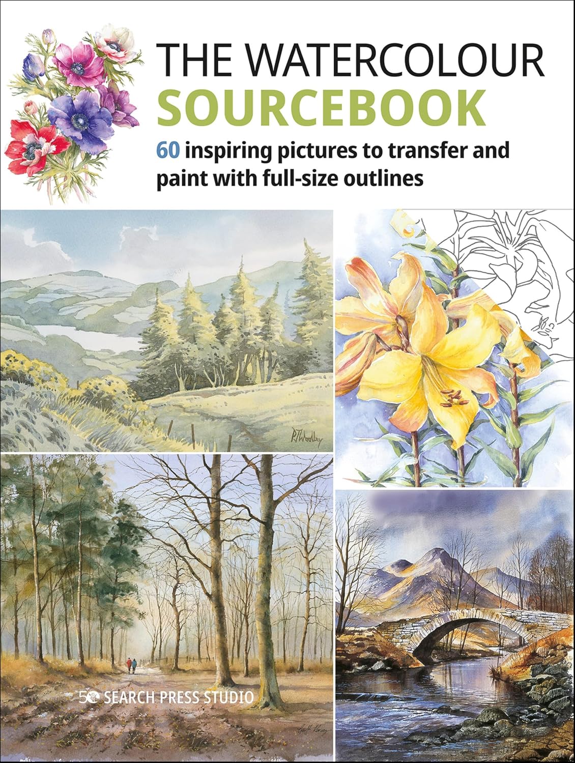 The Watercolour Sourcebook: 60 Inspiring Pictures To Transfer And Paint With Full-Size Outlines
