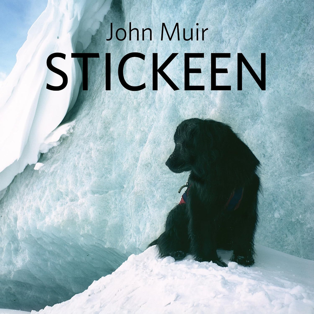 Stickeen