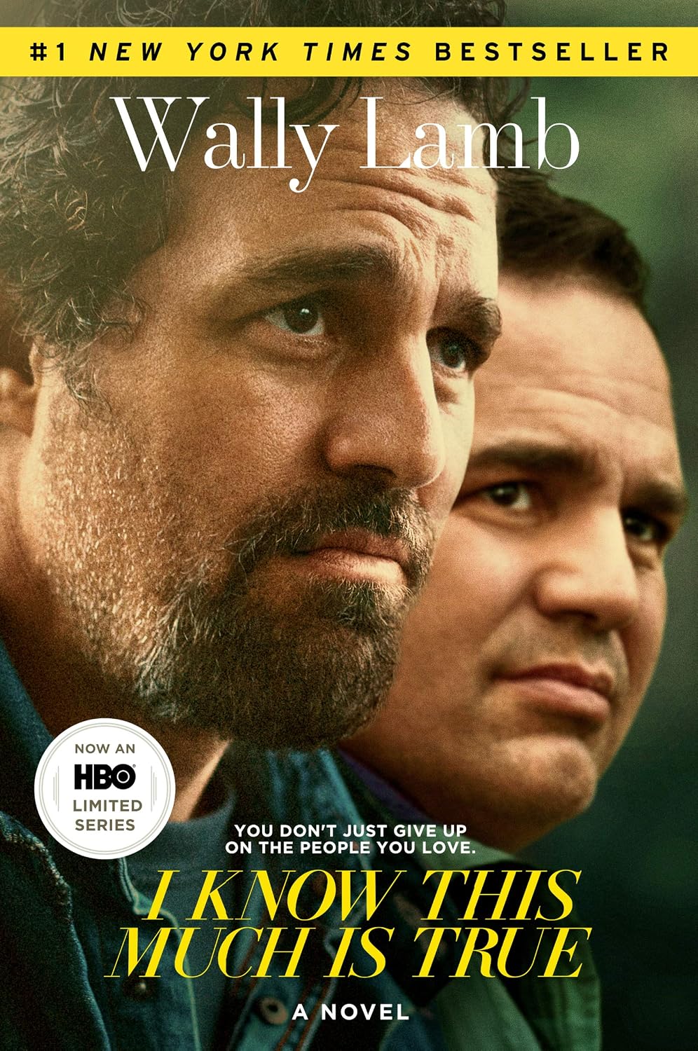 I Know This Much Is True: A Powerful Story of Brothers, Mental Illness, and the Search for Forgiveness (P.S.)