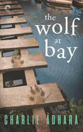 The Wolf at Bay: A Gay Cold Case Romantic Suspense (Big Bad Wolf Book 2)