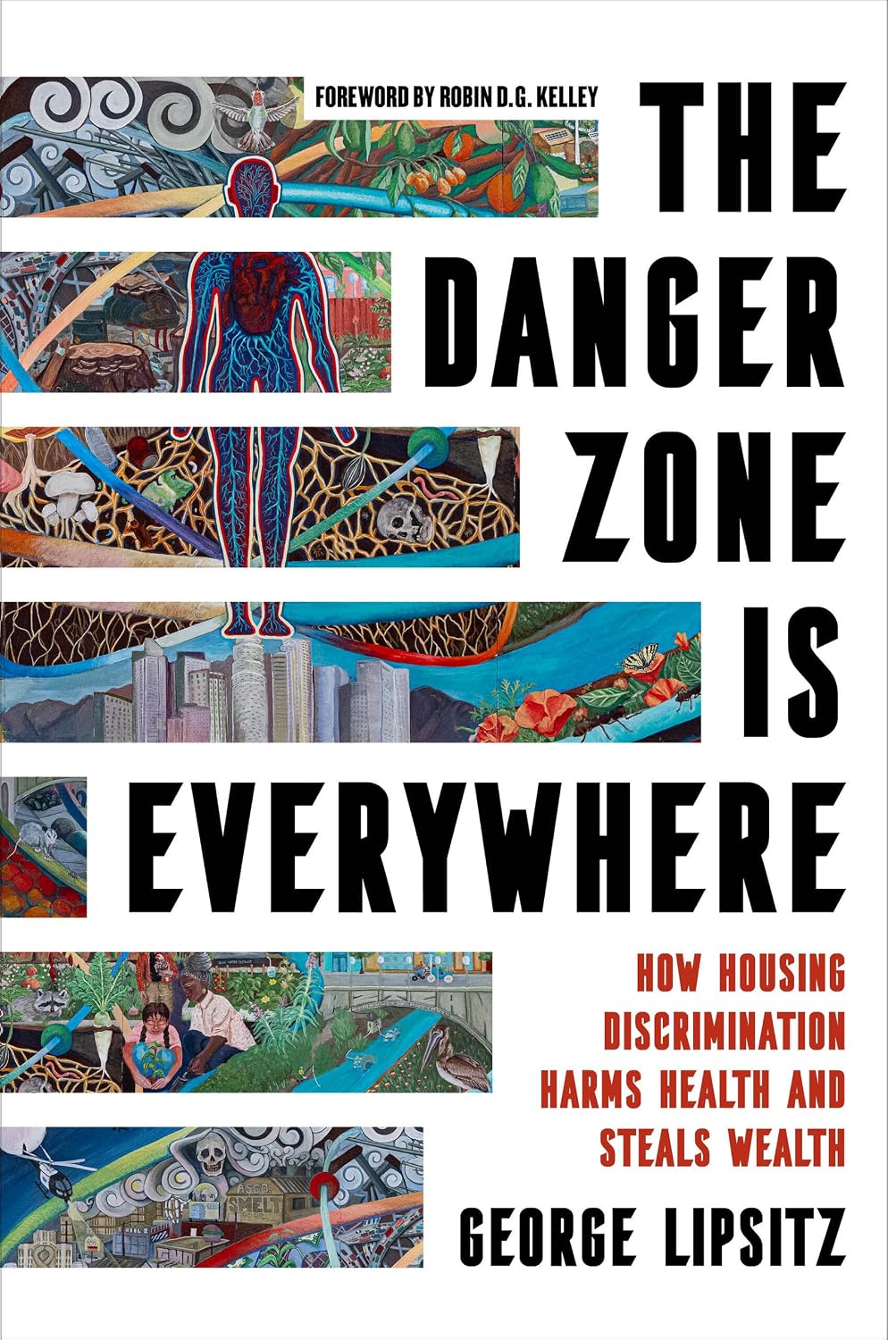 The Danger Zone Is Everywhere: How Housing Discrimination Harms Health and Steals Wealth (American Crossroads) (Volume 73)