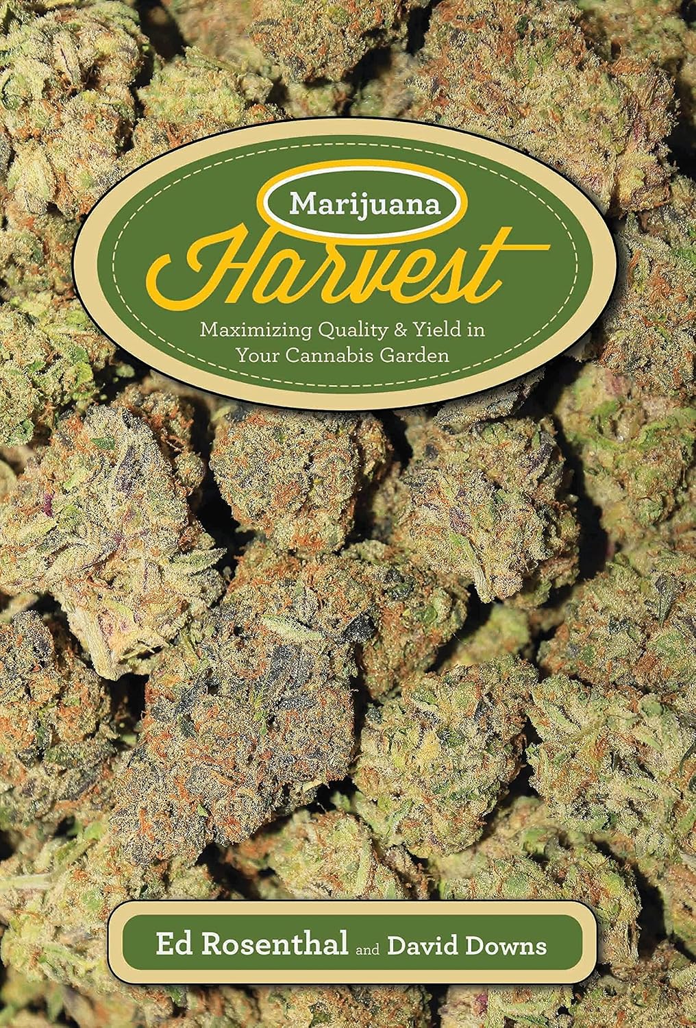 Marijuana Harvest: How to Maximize Quality and Yield in Your Cannabis Garden